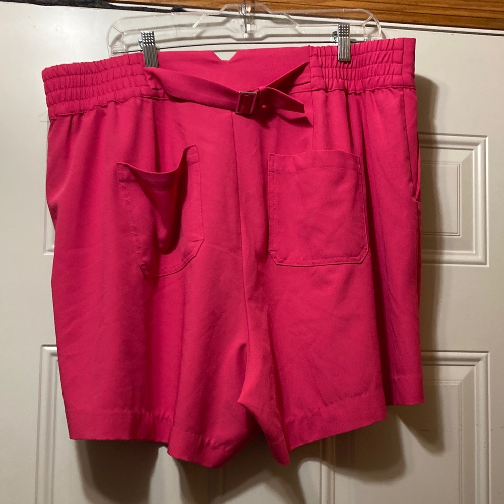 Torrid‎ Shorts 18